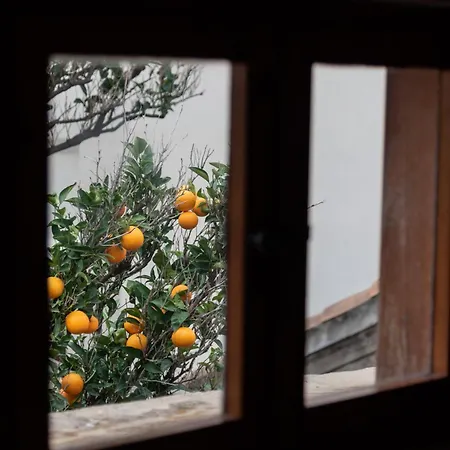 Located Duplex Appartement *