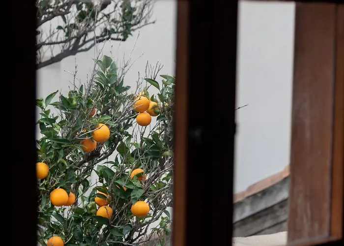 Located Duplex Апартаменты *