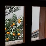 Located Duplex Apartment *